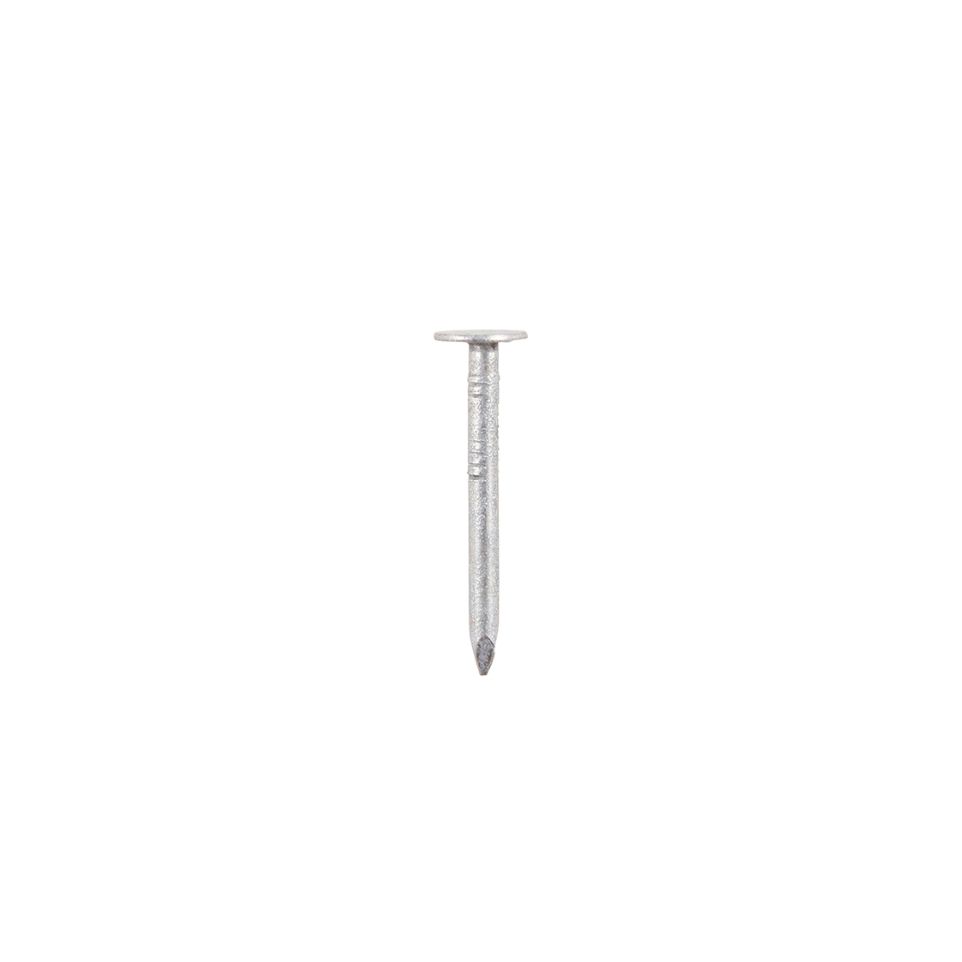 Clout Nails - Galvanised QTY 125