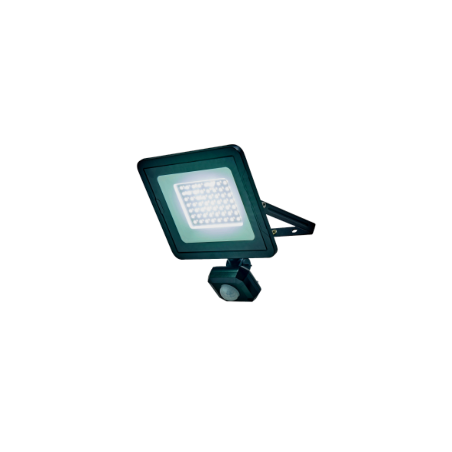 LED Outdoor Floodlight 30W With PIR